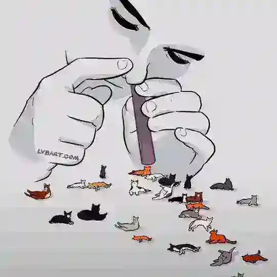 今日猫瘾发作