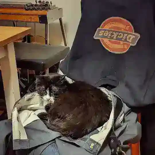 Отзывы