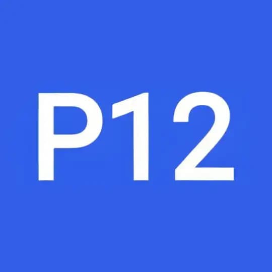 🅿12 UZ