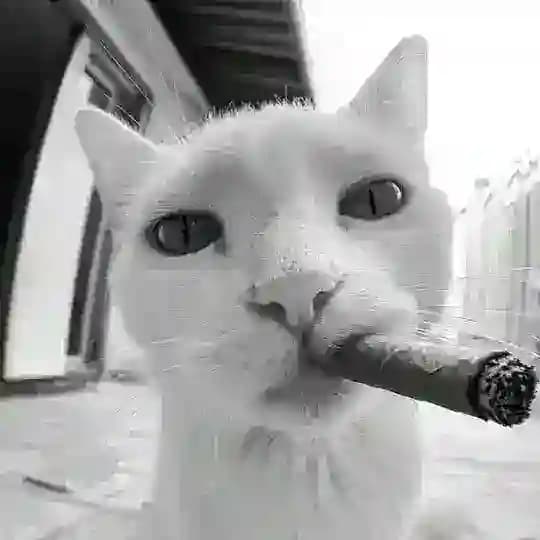 Proof gennap