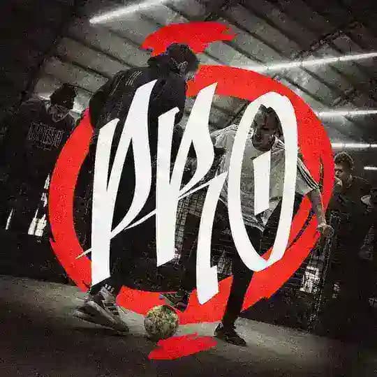 Panna PRO