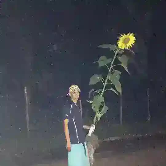 Гнездо пернатой хтони