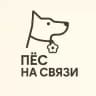 Пёс на связи📞