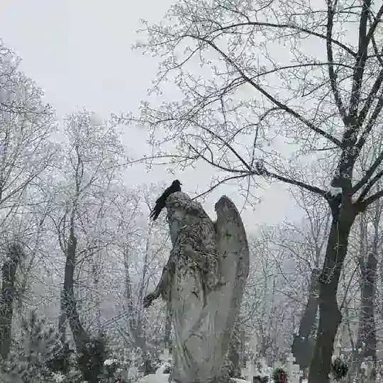 инструкция использования фотоаппарата