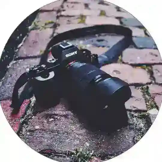 Photo Lauren Aurrinko📸