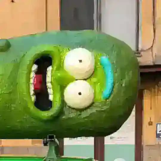 Pickle Rick 2114 🥒