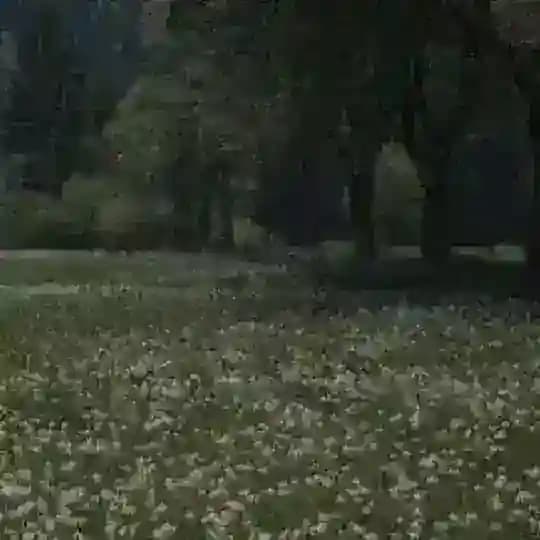 Пыльное Логово [рест]