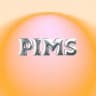 PIMS Сибирь