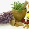 PLANTAS MEDICINAIS