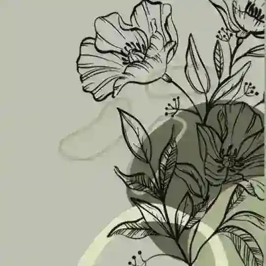 PlantsAreMyParadise🪷🍃