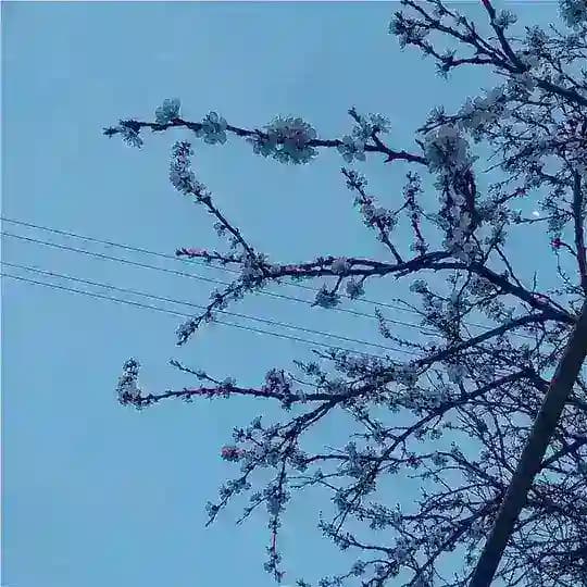 мусорка кота🍬🍡