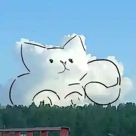 Похождения пельмешки