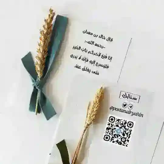 سنابل