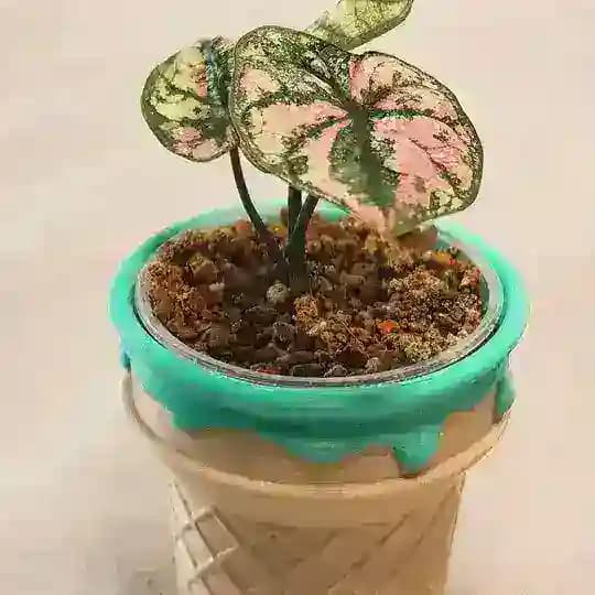 Pots3D
