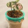 Pots3D