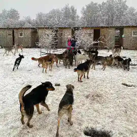 НЕ!ПРИЮТ для животных Татьяны Бурдовой