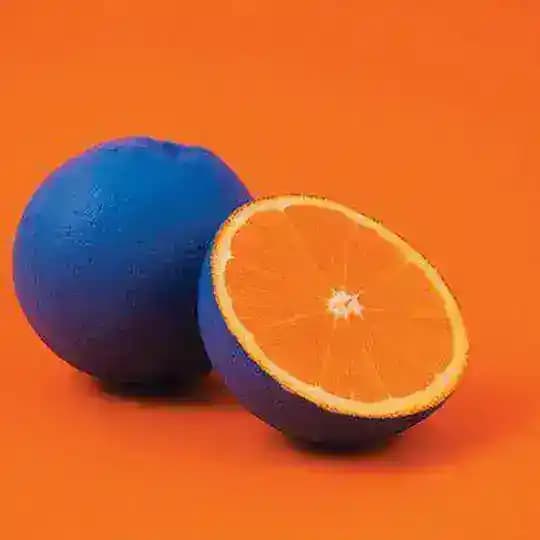 𝙿𝚛𝚃𝚊𝚀𝚊𝙻𝙻🍊