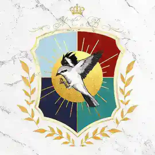 По ту сторону Академии || 16+