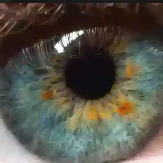 Pupil