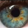 Pupil