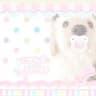 puppy adopt conf!!