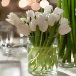 مـــارس🌱🍀 Profile