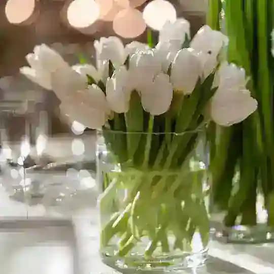 مـــارس🌱🍀