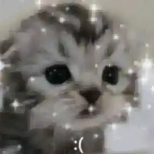qsiko