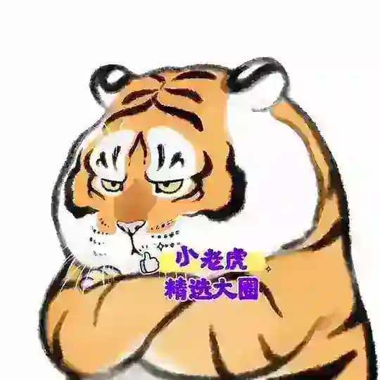 济南老虎大圈洋酒