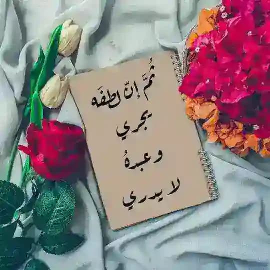 🌹كتابــات سمـــا🌹