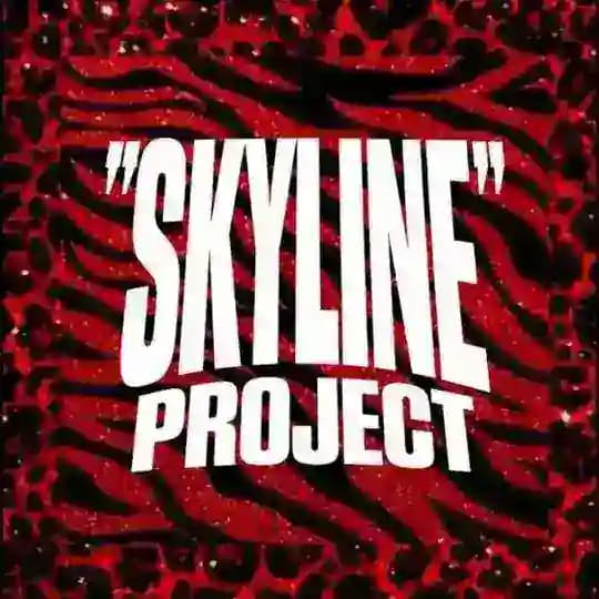 SKYLINE PROJECT