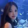 热宝在看k