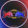 Oracle Red Bull • Formula 1