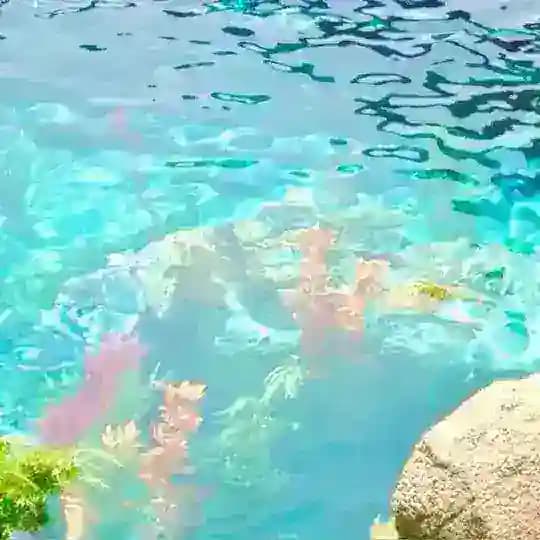︶꒷꒦︶ ๋࣭ 「 𝓇𝑒𝒻𝓁𝑒𝒸𝓉𝒾𝑜𝓃 」