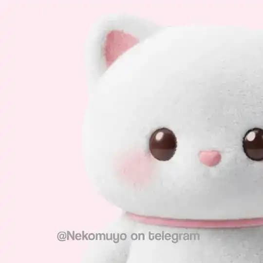 ♪ ˚ . result ±𝟹.𝟹 🐾🎀 チェ