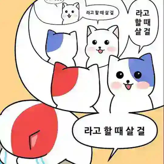 리포트 갤러리