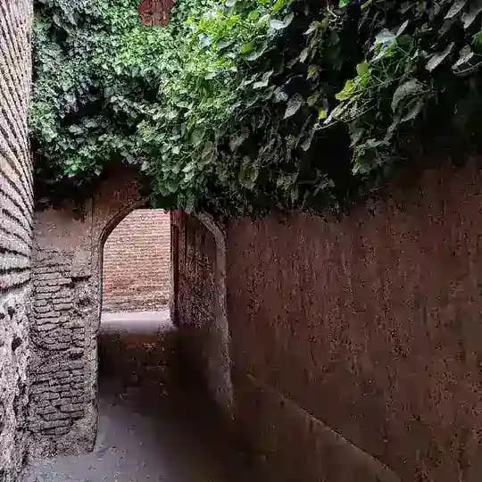 کانون رسانه🌱
