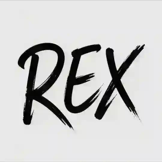 REX直装🇨🇳