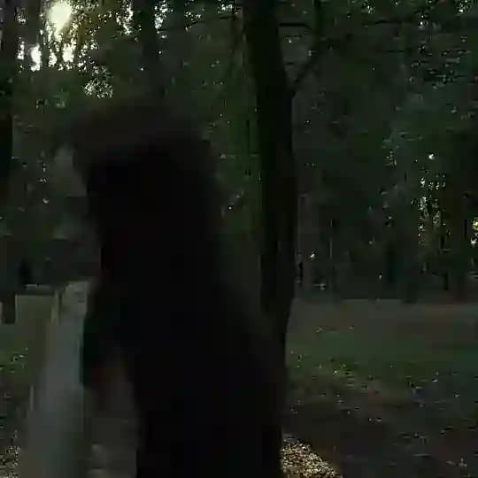 Чикс