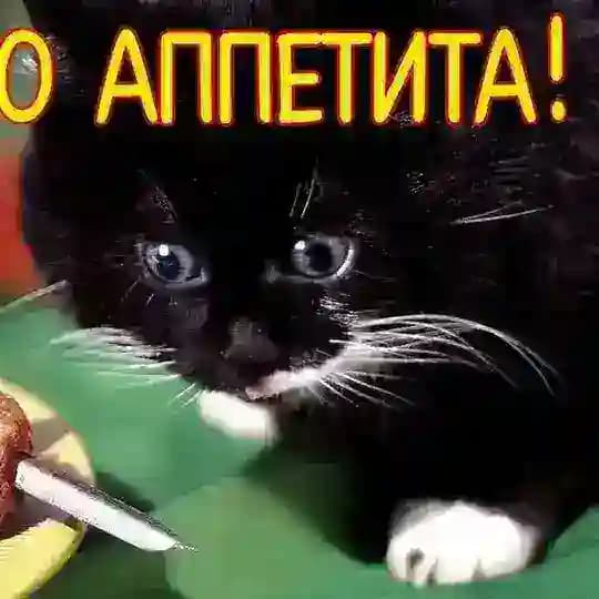 кома