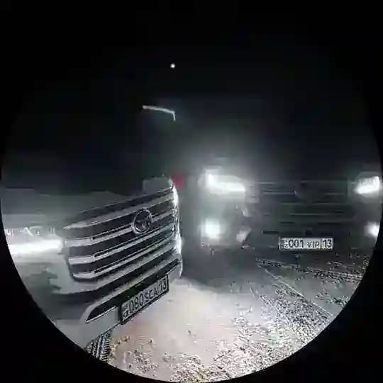 D 💸