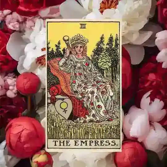 Прайс и отзывы ✨️sabrina_tarot