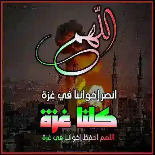🍒🌷🌷 طريق الحق 🌷🌷🍒