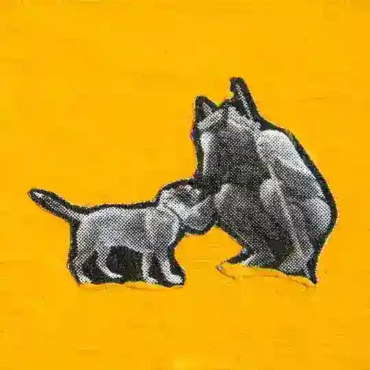 Самиздательскый домъ