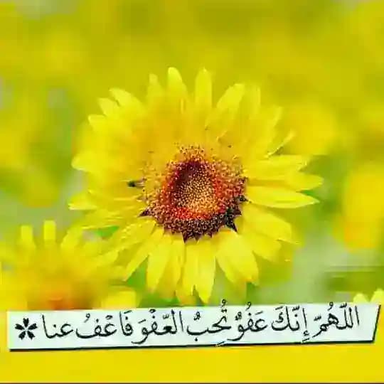 سنرحل ويبقى الأثر..!٠