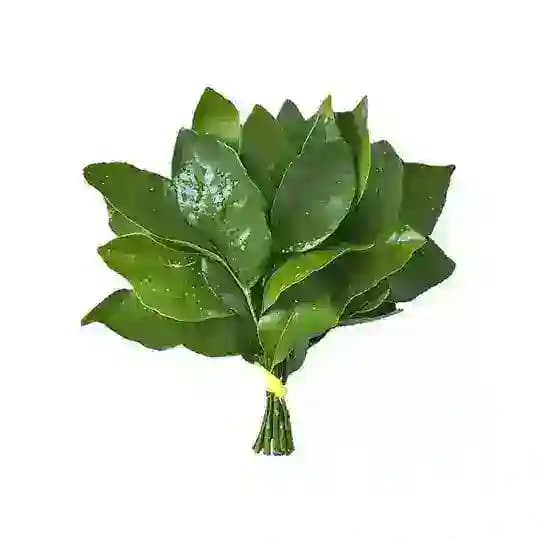 芙芙 的內心正在輸入…