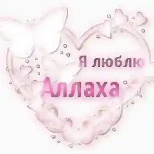 адаптер скарадурин дейли