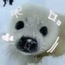 НАБОР АДМИНОВ. • ⊹ / Seals confession \ ⊹ • .
