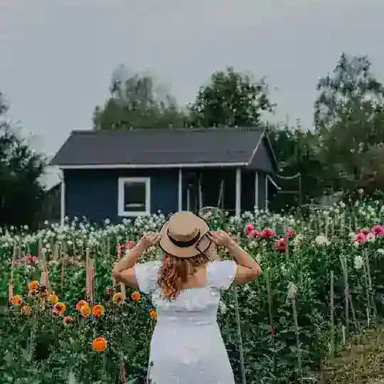 Цветочная ферма в Смоленске