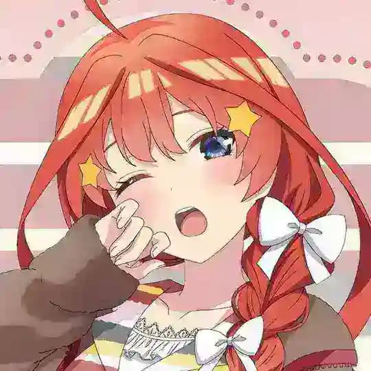 seinaa stock v1
